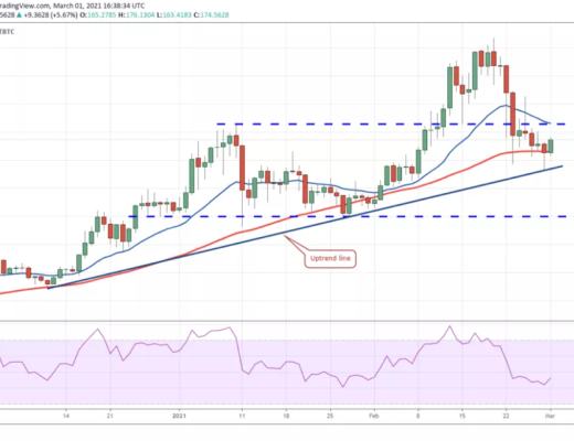 3月2日加密貨幣價格分析：比特幣、以太坊、波卡、瑞波幣等