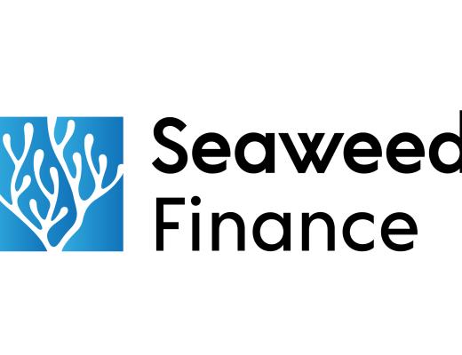 主打去中心化期權市場—為什么Seaweed值得關注？