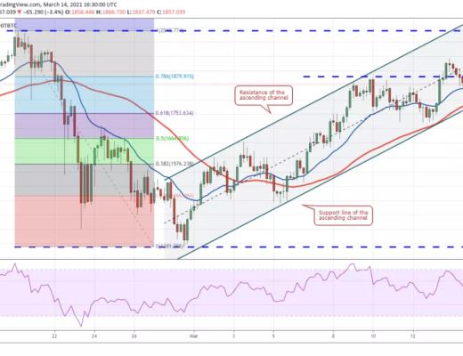 本周值得關注的5種加密貨幣：BTC、ETH、VET、XMR、FTT