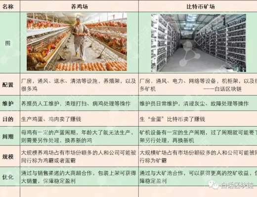 312過去一年了 比特幣還是巴菲特口中的