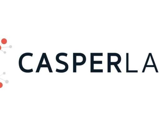 Casper Labs 項目分析報告