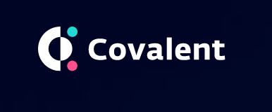 覓新 | Covalent ：支持多鏈條索引的區塊鏈數據查詢服務平臺