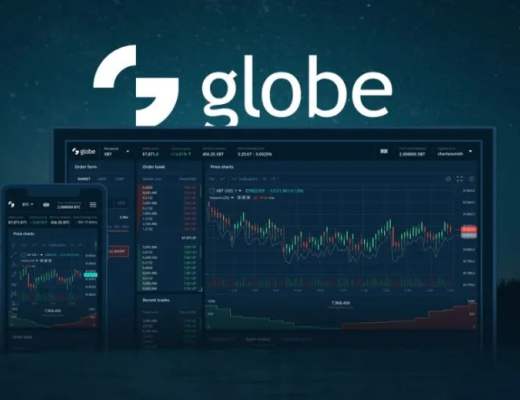 GlobeDX 項目分析報告