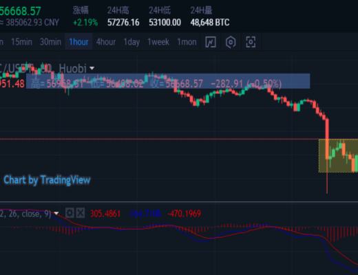 投資分析：閃崩過後如何應對？