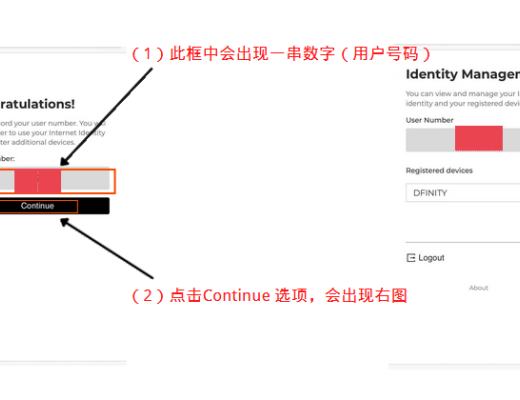 DFINITY錢包之NNS應用教程以及操作注意事項