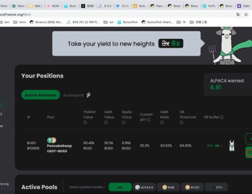 如何在Alpaca.Finance上進行穩定幣槓杆挖礦