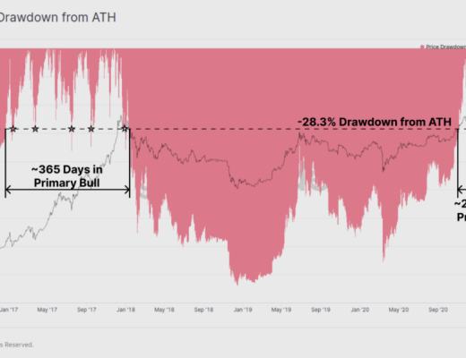 BTC 恐慌下跌中 HODLer 仍在加倉？