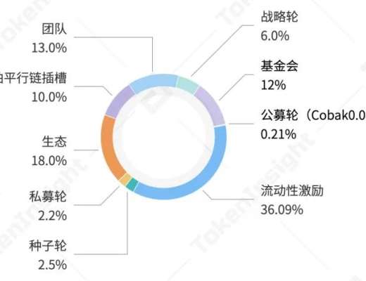 TI 評級報告 | RAI Finance：B 展望正面