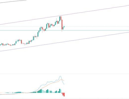 金色趨勢丨多頭力量正在恢復 大反彈即將到來