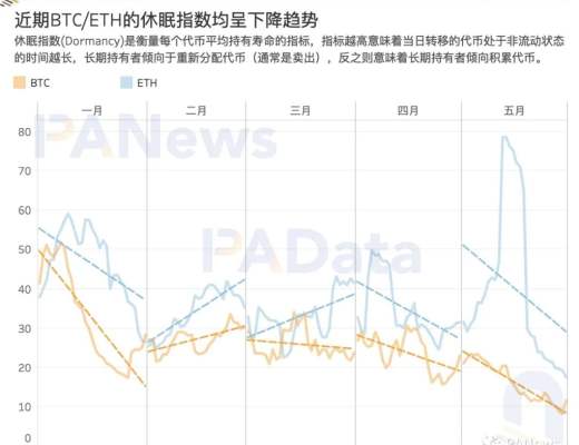 牛市還能繼續嗎？盤整期巨鯨、散戶、機構、長期持有者都在如何操作