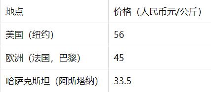 哈薩克斯坦的“加密夢”