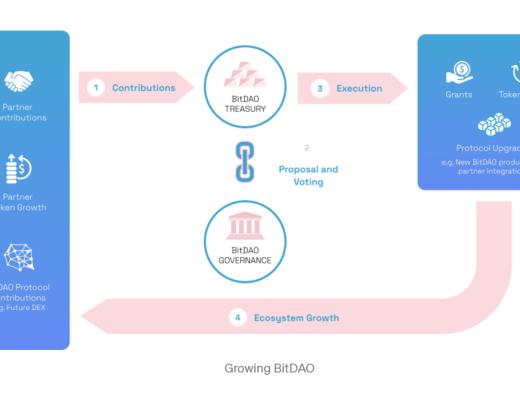 關於BitDAO 你想知道的在這裏