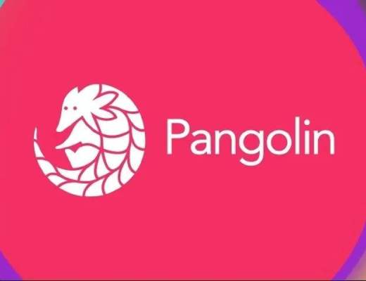 玩轉雪崩生態第一站：Pangolin穿山甲去中心化交易所