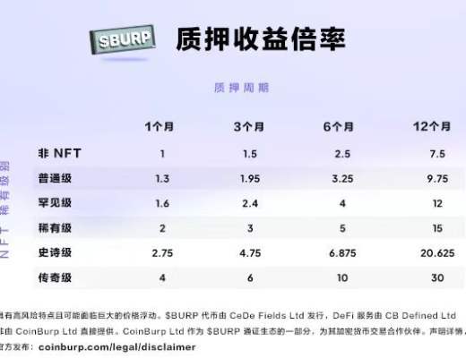 DeFi+NFT再掀應用浪潮 CoinBurp如何進一步叩开加密大門？