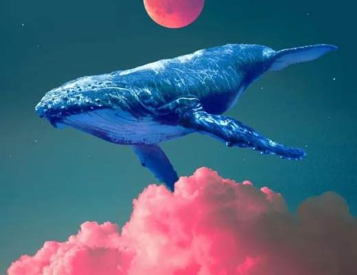 WHALE 流動性挖礦：持有 WHALE = 賺取 WHALEWHALE 流動性挖礦 