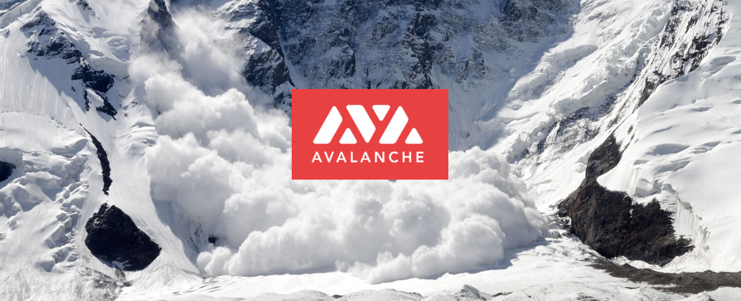 以雪崩之勢改造世界 縱覽 Avalanche 生態