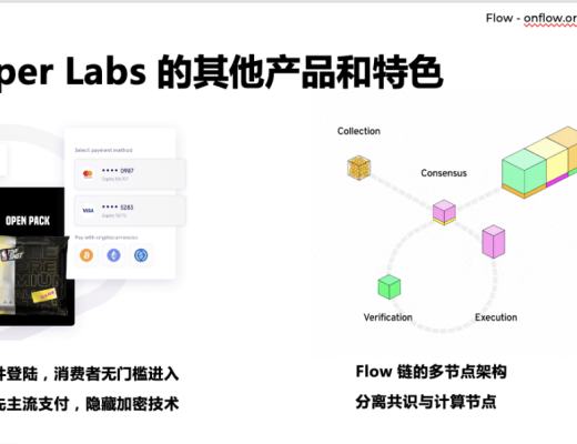 
      面向資源編程：Flow Cadence智能合約語言的全新範式