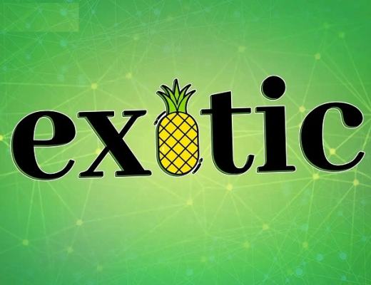 
      將投資策略化繁為簡 Exotic Markets想成為“加密私人銀行”