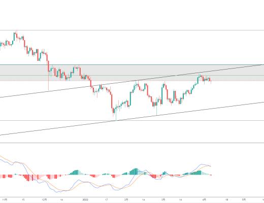 
      金色趨勢丨知史鑑今 BTC或將構築階段頂？