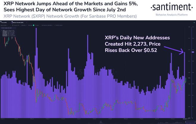 
      XRP 與其他加密貨幣脫鉤,上漲 8%