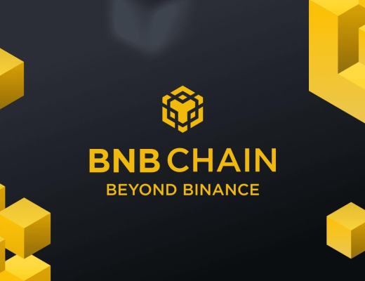 
      “Binance Seele”導致Seele連續下跌 山寨版《羊了個羊》進軍幣安 幣安生態亂象何時解決？