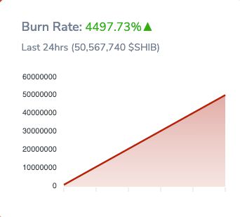 
      SHIB 可能不會繼續深受熊市的影響