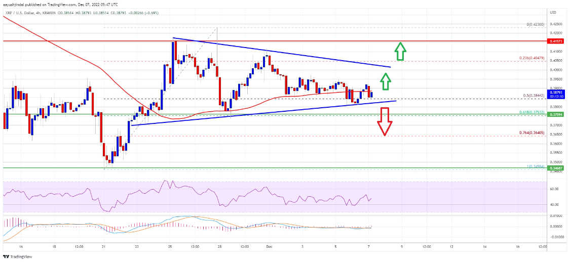 
      XRP 價格預測：熊市掙扎 是時候逢低买入了嗎？