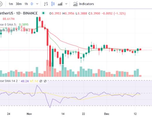 
      XRP 鯨魚持有的供應量增加到 18.3%