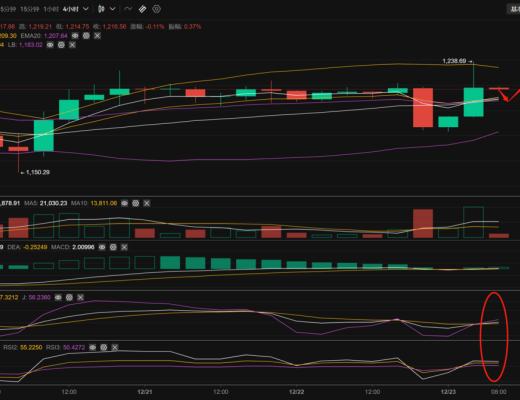
      長路說幣：12.23以太坊行情分析及操作策略推送