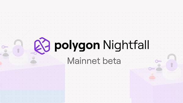 
      Polygon 生態2022：在主流世界裏撕开一束光