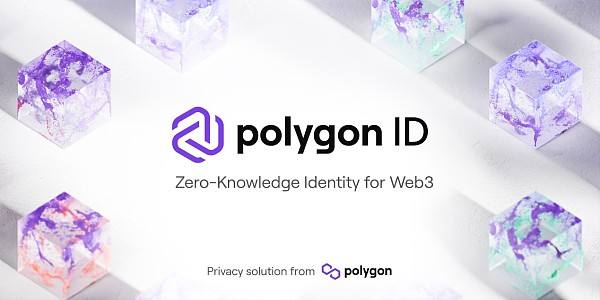 
      Polygon 生態2022：在主流世界裏撕开一束光