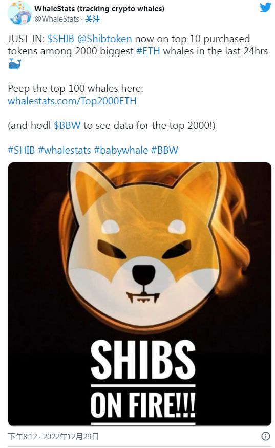 
      SHIB成為以太坊鯨魚最大的持股之一