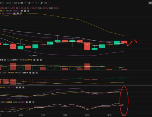 
      長路說幣：12.31以太坊行情分析及操作策略推送