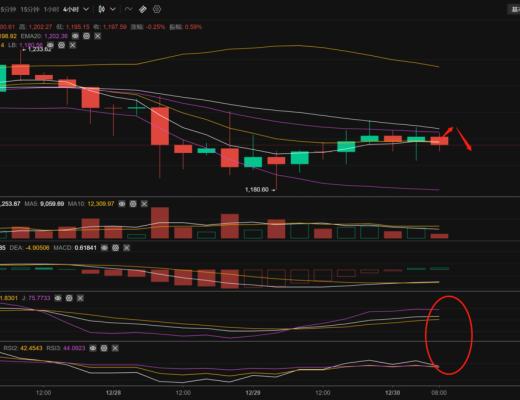 
      長路說幣：12.30以太坊行情分析及操作策略推送