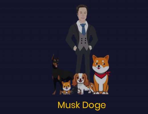 
      BSC鏈超強鏈遊——Musk Doge