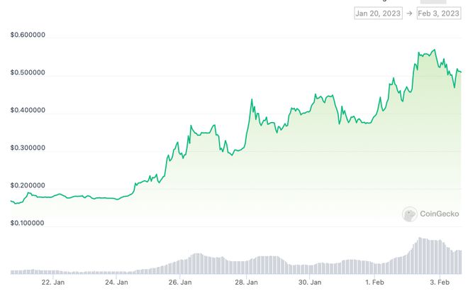 
      Alpha：一周六倍的 Canto 如何發現？