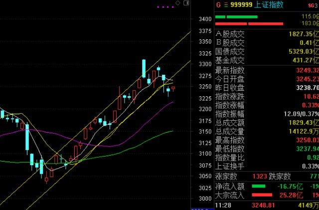 
      2月07日擒牛姐盤中