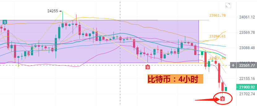 
      大牛投資圈：2月10日幣圈最新行情分析