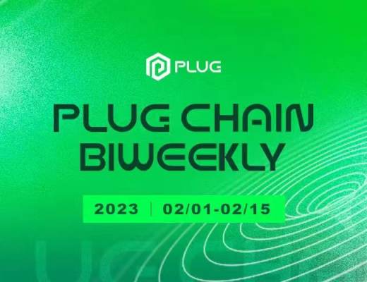 
      PlugChain 2月雙周報(02/01-02/15)