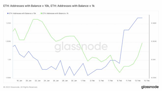 
      以太坊 [ETH] 鯨魚堆積如山  但這足以進行水平重新測試嗎？