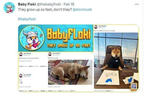 
      Floki與Baby Floki是否能接棒Doge和Baby doge 的神話故事