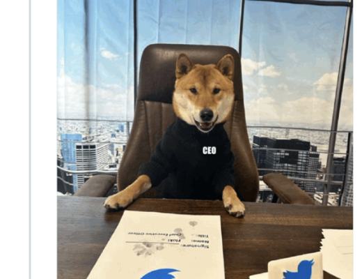 
      Floki與Baby Floki是否能接棒Doge和Baby doge 的神話故事