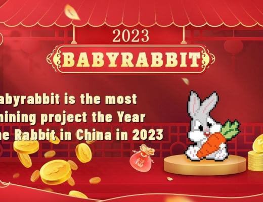 
      Babyrabbit 全網首個得到大陸G資投資的區塊鏈模因幣項目