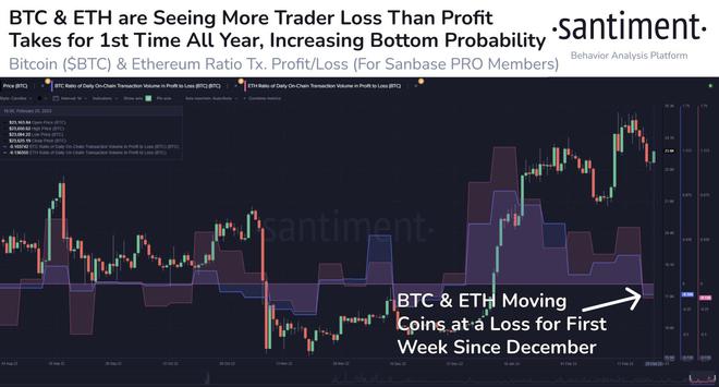 
      BTC 鯨魚數量縮減至2020年初的水平——本周關於比特幣的 5 件事