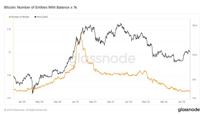 
      BTC 鯨魚數量縮減至2020年初的水平——本周關於比特幣的 5 件事