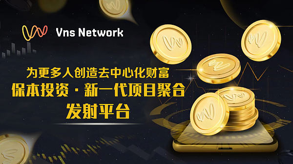 
      VNS Network 區塊鏈聚合器平臺 項目發射、質押、空頭、DAO治理