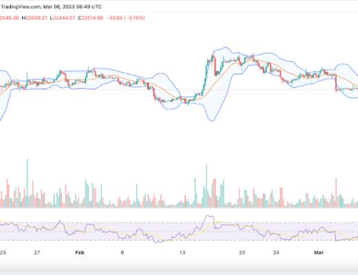 
      本周比特幣 (BTC) 價格它會飆升還是暴跌？