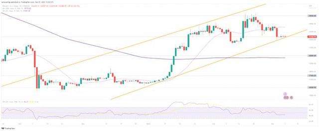 
      比特幣BTC價格預測——漲勢是會逆轉還是會上漲超過25,000美元？