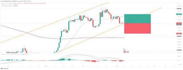 
      比特幣BTC價格預測——漲勢是會逆轉還是會上漲超過25,000美元？