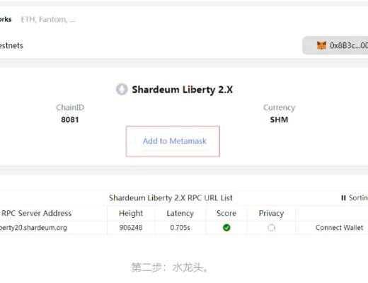 
      擼毛：新型公鏈Shardeum節點搭建及生態交互教程